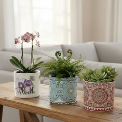 Ceramic plant pots