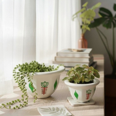Decorative Ceramic Plant Pot