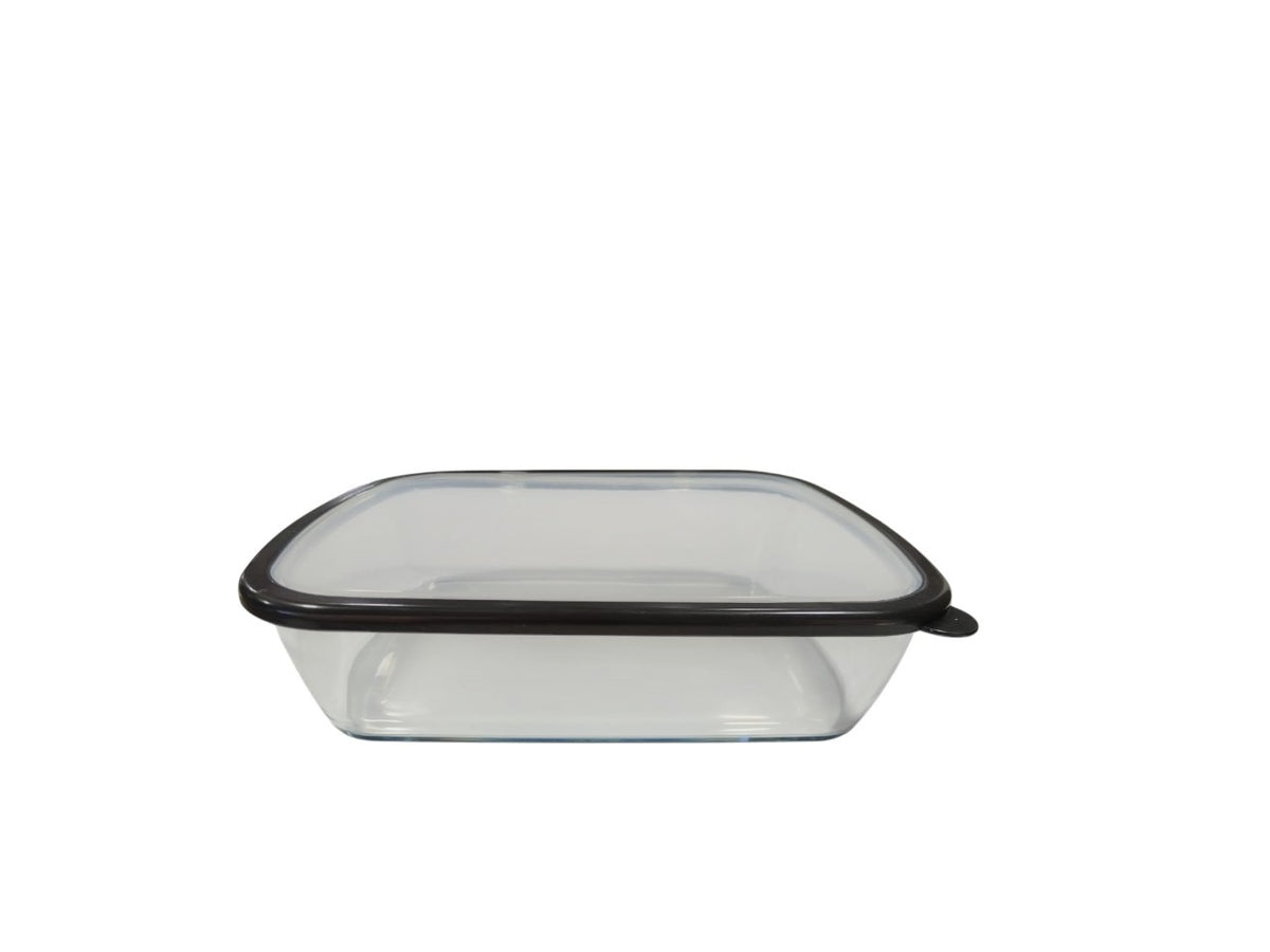 Glass Food Storage Container with Plastic Lid