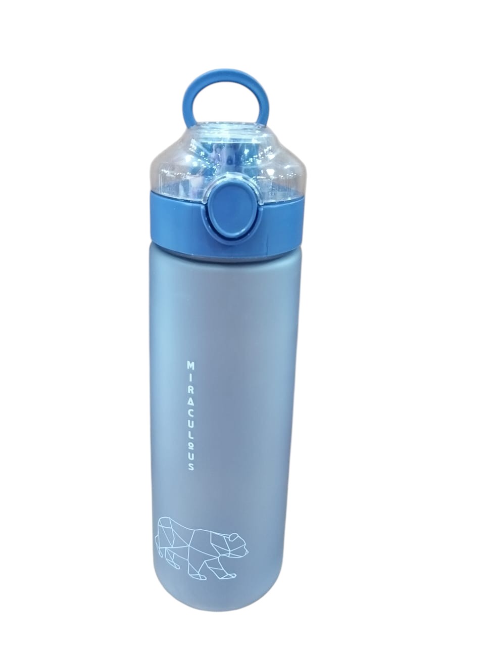 Miraculous Sports Bottle - 730CC
